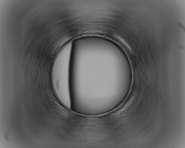 X0000092240777200709141002