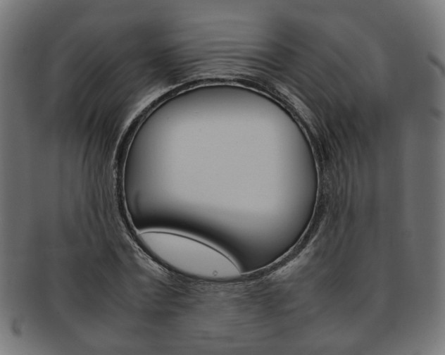 X0000092240779200709141002