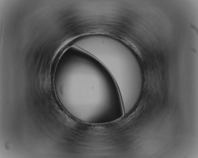 X0000092240784200709141002