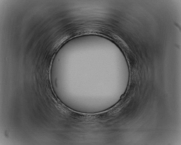X0000092240785200709141002