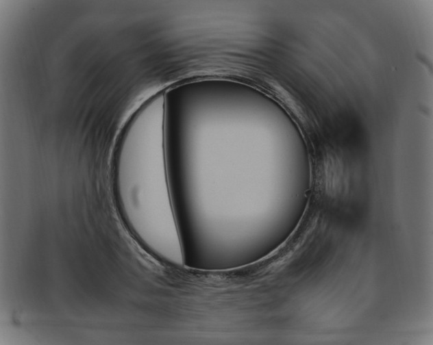 X0000092240787200709141002