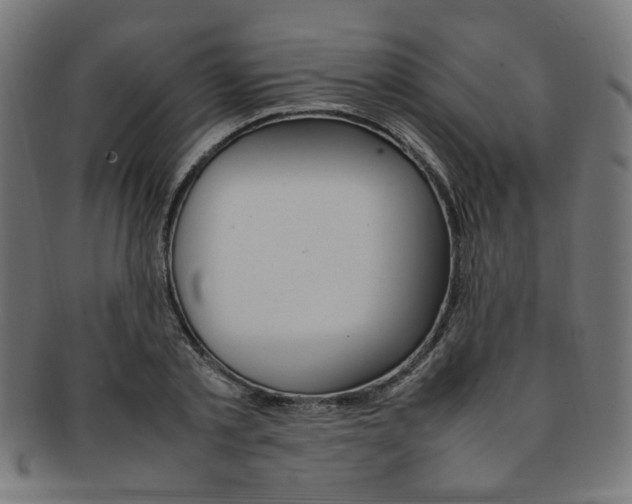 X0000092240789200709141002