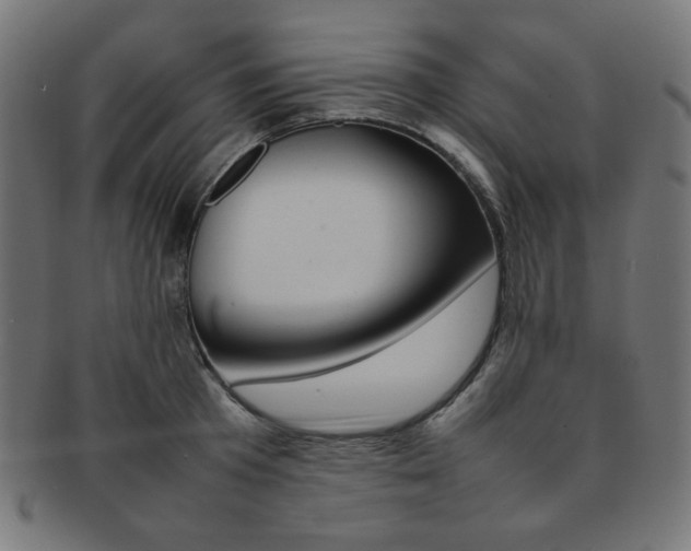 X0000092240801200709141002