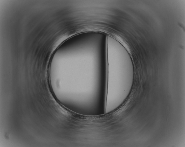 X0000092240803200709141002