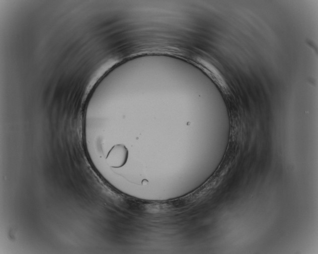 X0000092240804200709141002