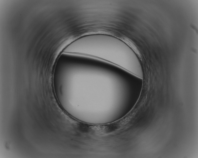 X0000092240805200709141002
