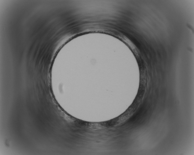 X0000092240807200709141002