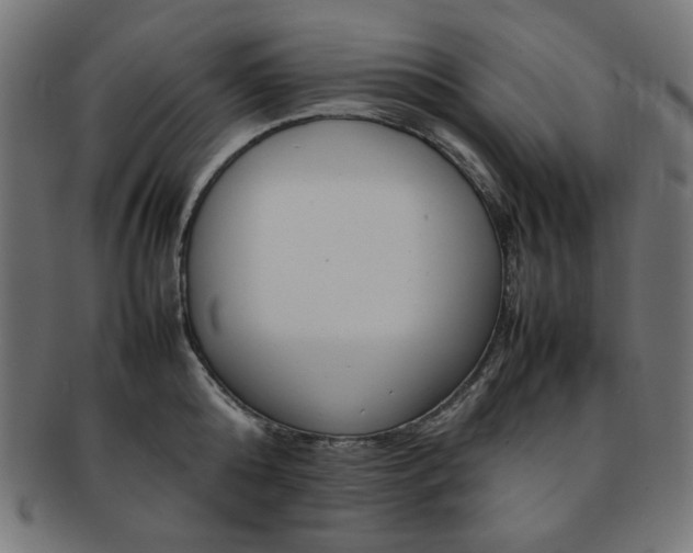 X0000092240808200709141002