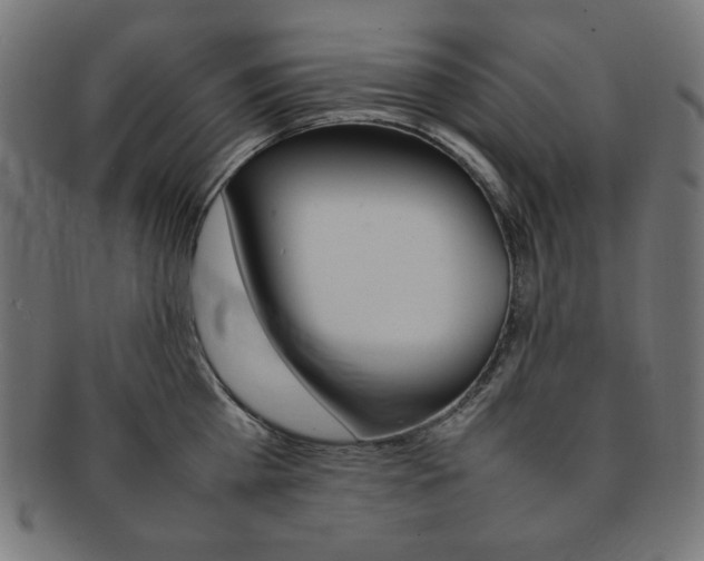 X0000092240809200709141002