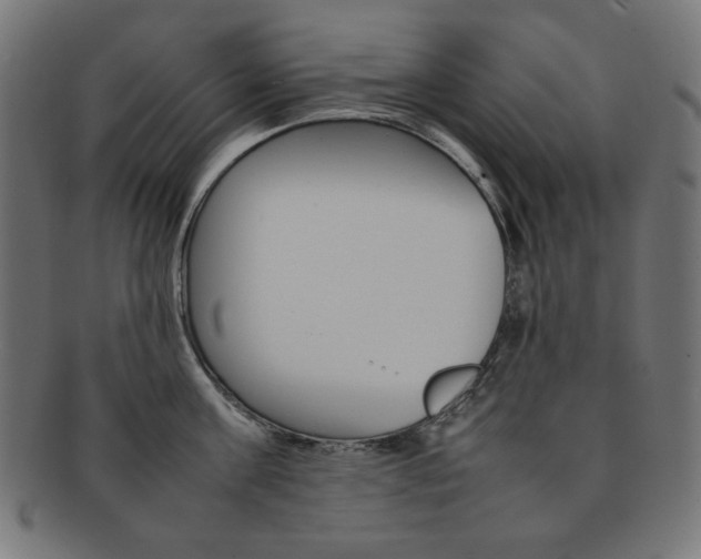 X0000092240811200709141002