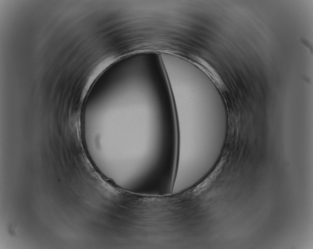 X0000092240812200709141002