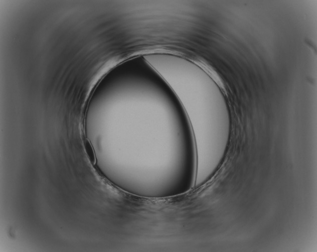 X0000092240813200709141002