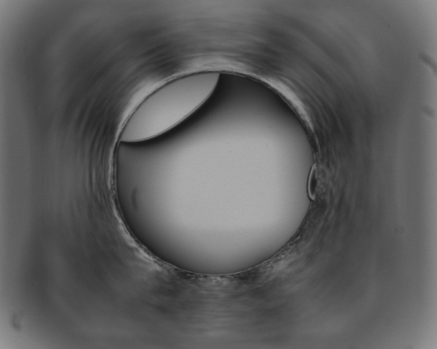 X0000092240815200709141002