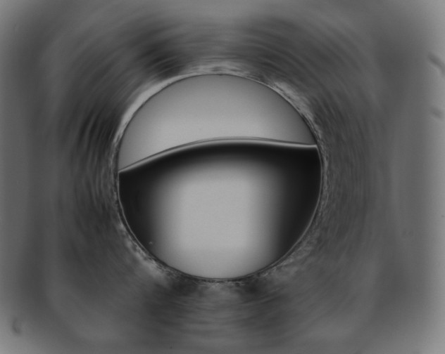 X0000092240816200709141002