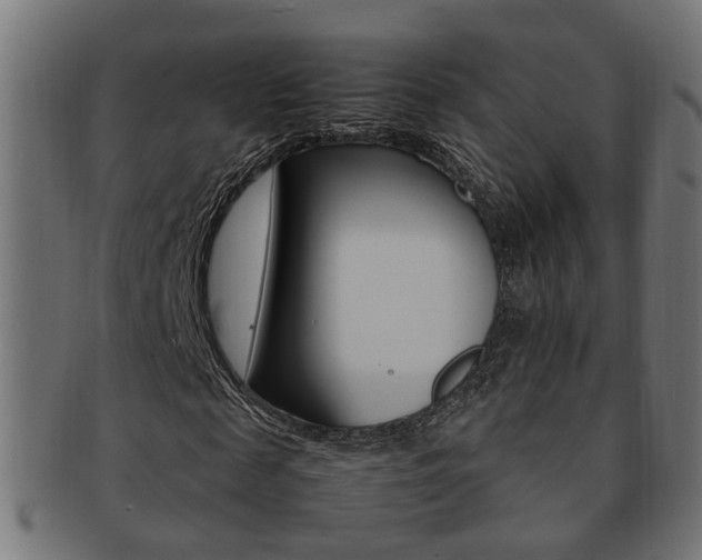 X0000092240817200709141001