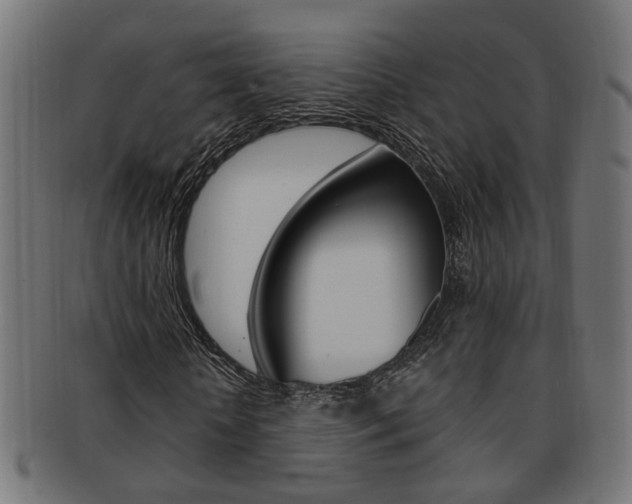 X0000092240818200709141001