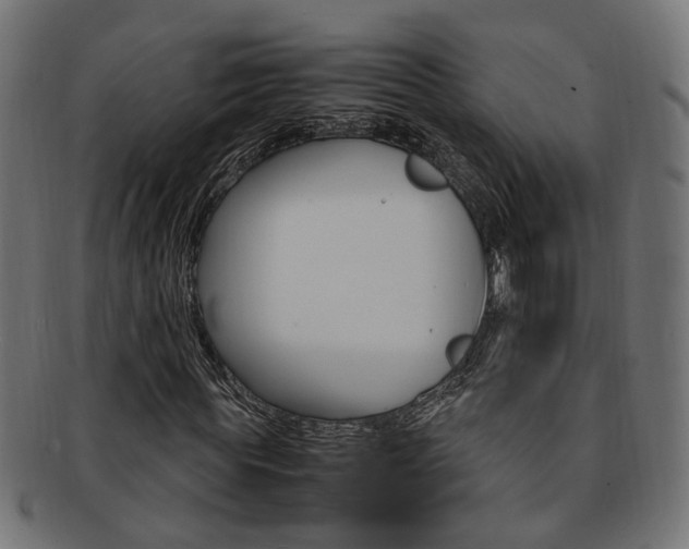 X0000092240819200709141001