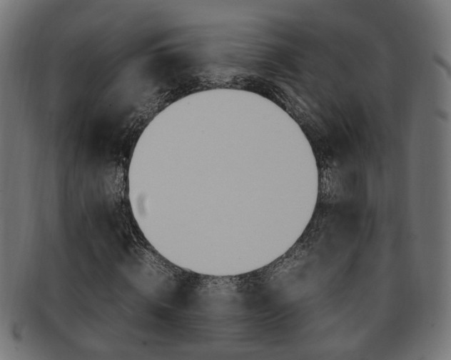 X0000092240820200709141001