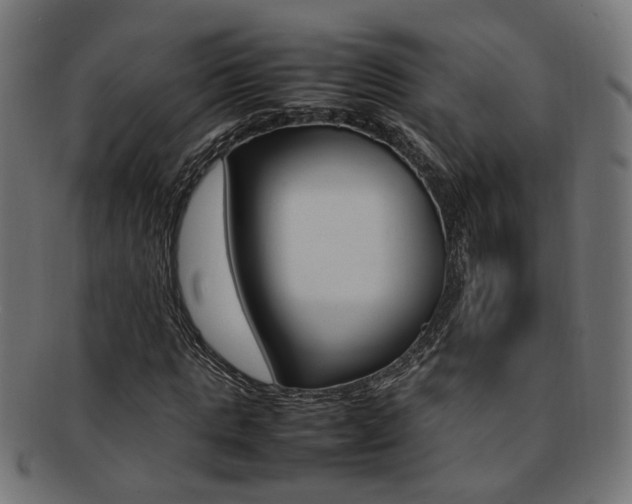 X0000092240821200709141001