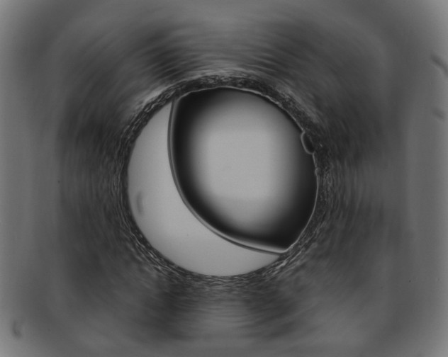 X0000092240822200709141001