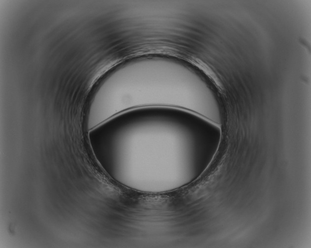X0000092240826200709141001
