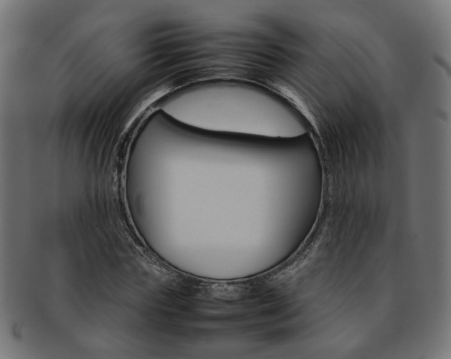 X0000092240827200709141001