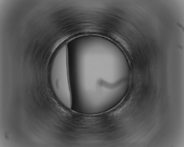 X0000092240829200709141001