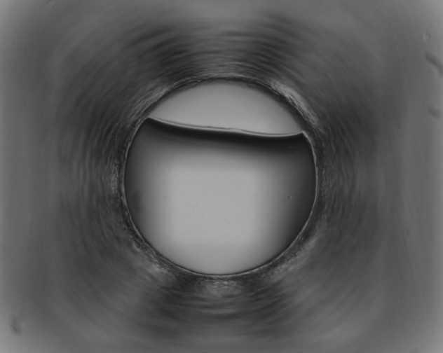 X0000092240833200709141002