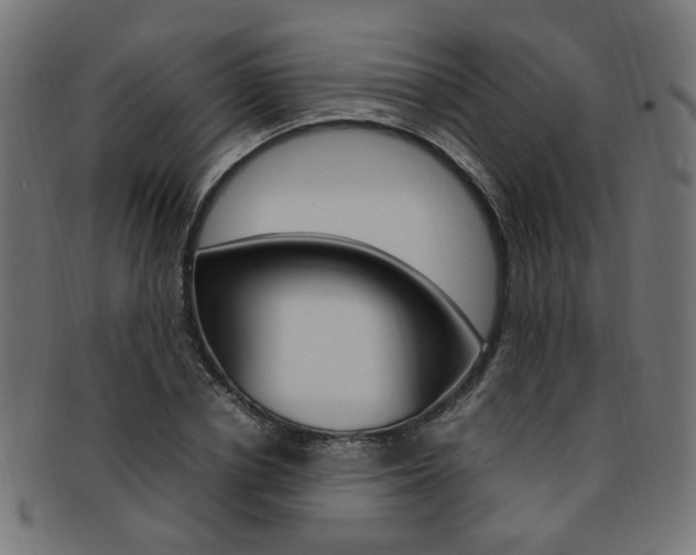 X0000092240834200709141002