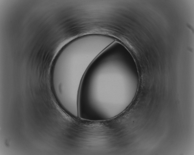 X0000092240838200709141002