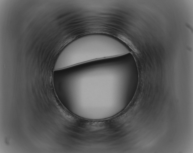 X0000092240841200709141002