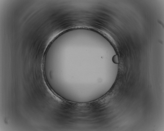 X0000092240847200709141002