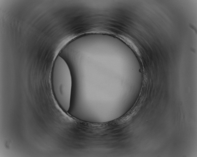 X0000092240855200709141002
