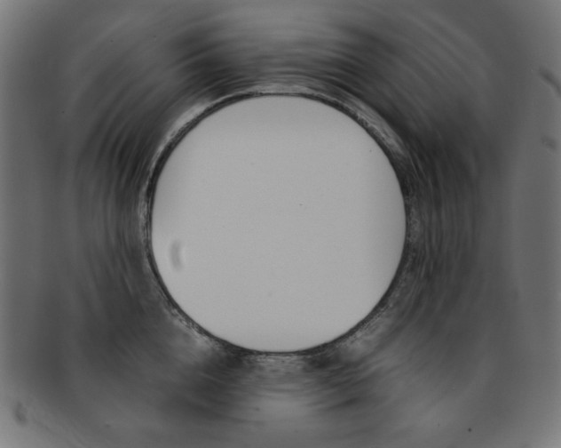 X0000092240856200709141002