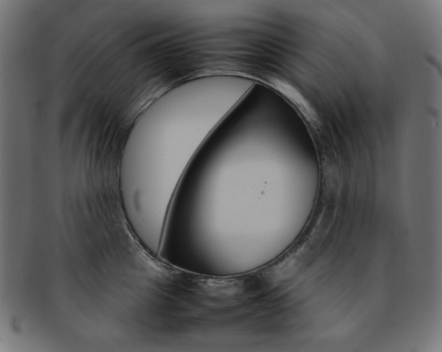 X0000092240857200709141002