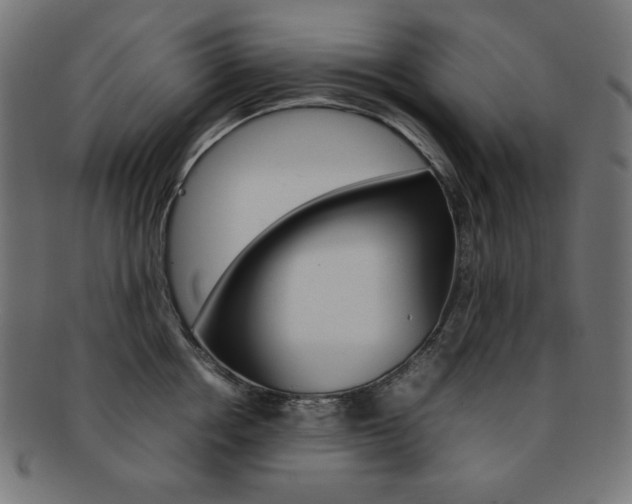 X0000092240858200709141002
