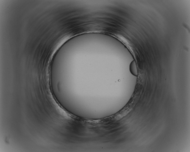 X0000092240859200709141002
