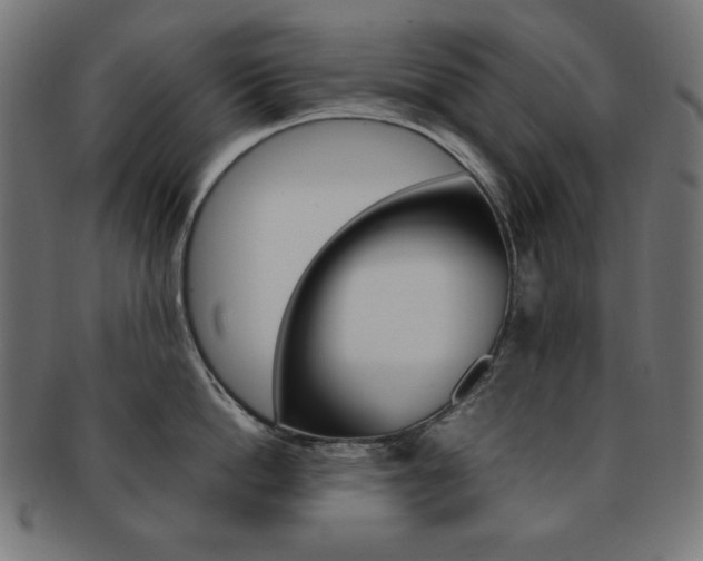 X0000092240862200709141002