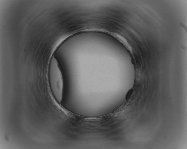 X0000092240863200709141002