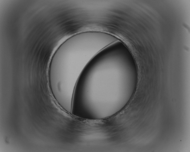 X0000092240864200709141002
