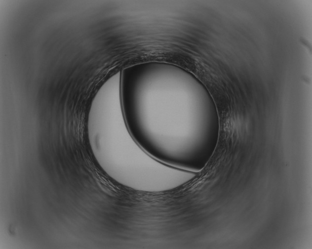 X0000092240868200709141001