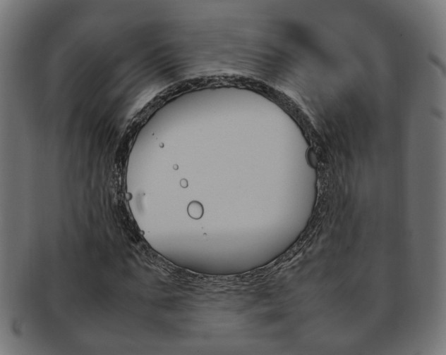 X0000092240871200709141001