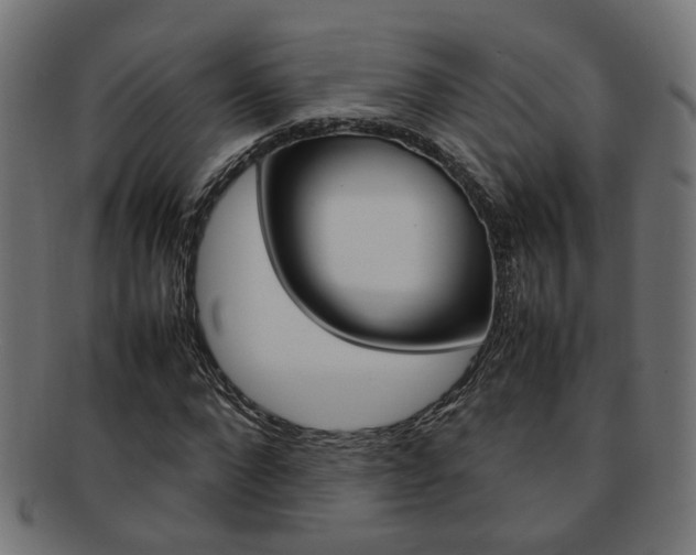 X0000092240872200709141001