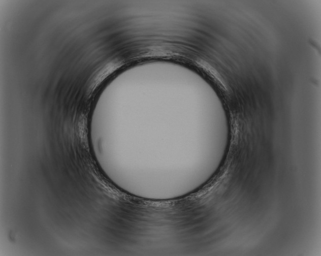 X0000092240874200709141001