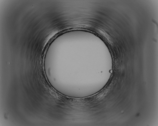 X0000092240875200709141001