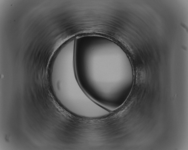 X0000092240876200709141001