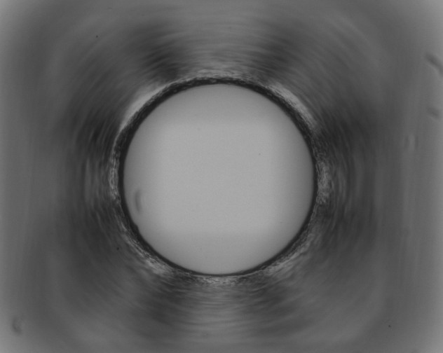 X0000092240878200709141001