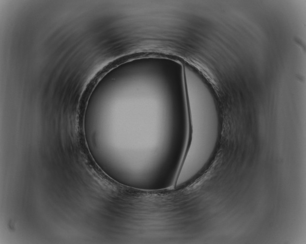 X0000092240880200709141001