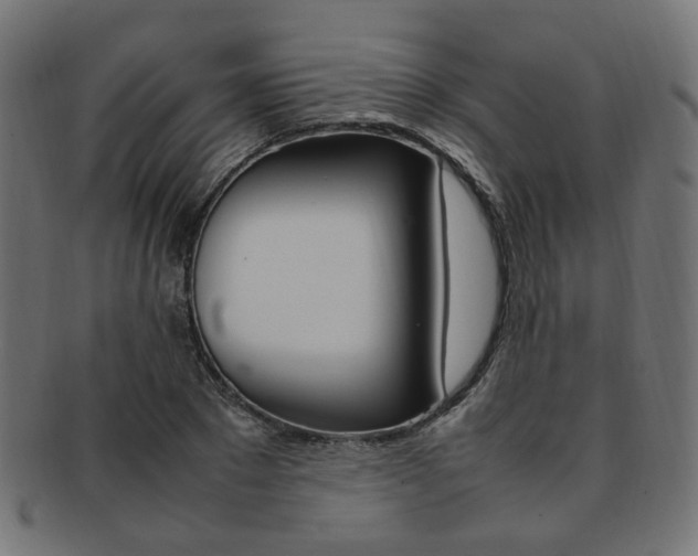 X0000092240881200709141001
