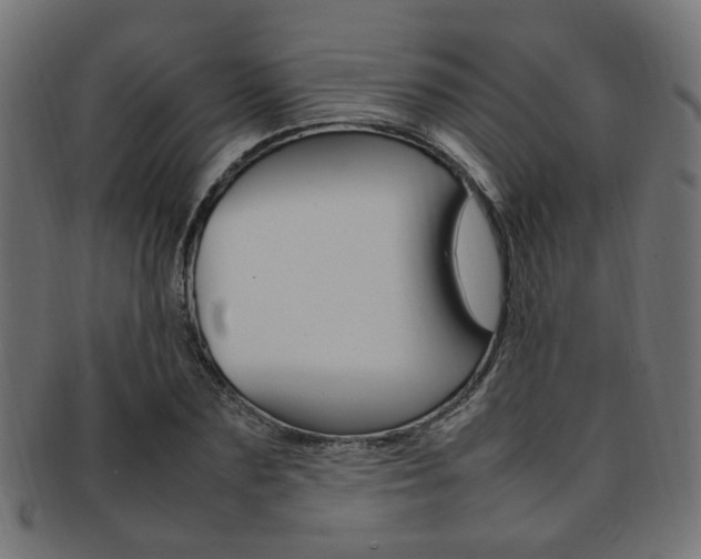 X0000092240883200709141001